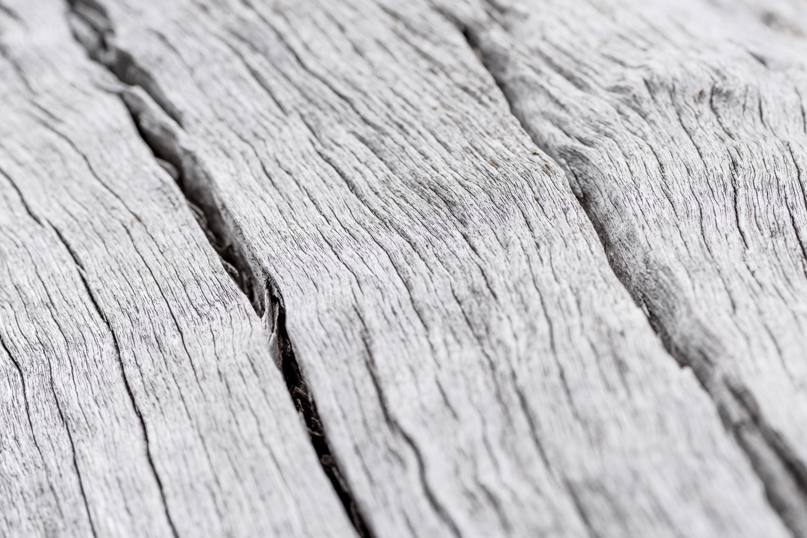 Wood texture closeup